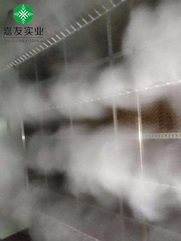 光伏车间空调机组高压微雾加湿器 (4)